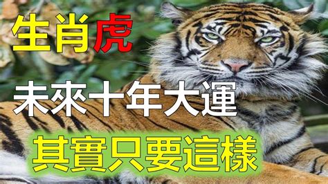 1974生肖2023運勢|1974年屬虎人2023年運勢及運程 74年49歲生肖虎2023年全年每月。